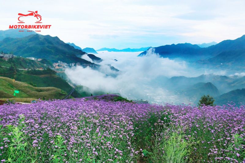 discover Sapa by motorbike (7)