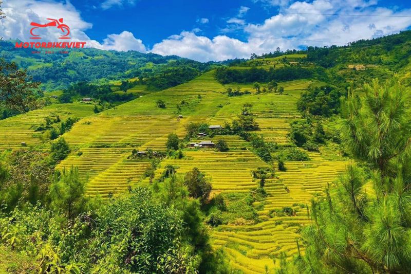 discover Ha Giang by motorbike (4)