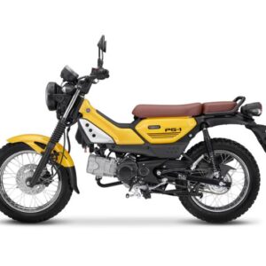 Yamaha PG-1