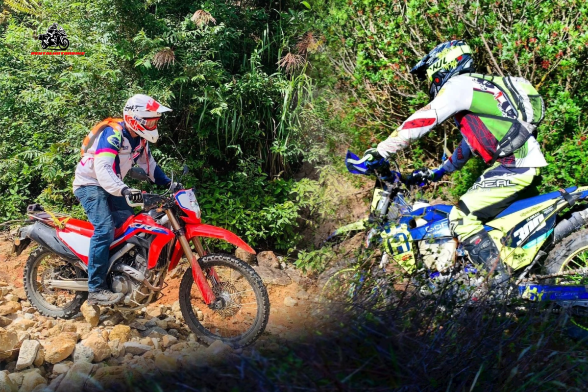 rentalmotorbike