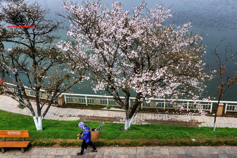Hanoi - Sapa is the dream route for backpackers