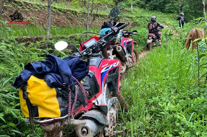 Honda CRF300L is an ideal choices for backpackers