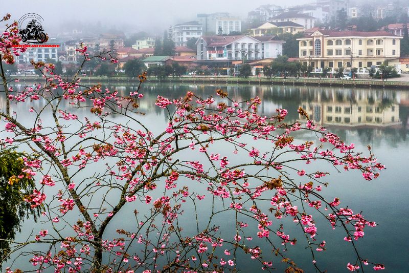 Have a great experience when exploring Sapa
