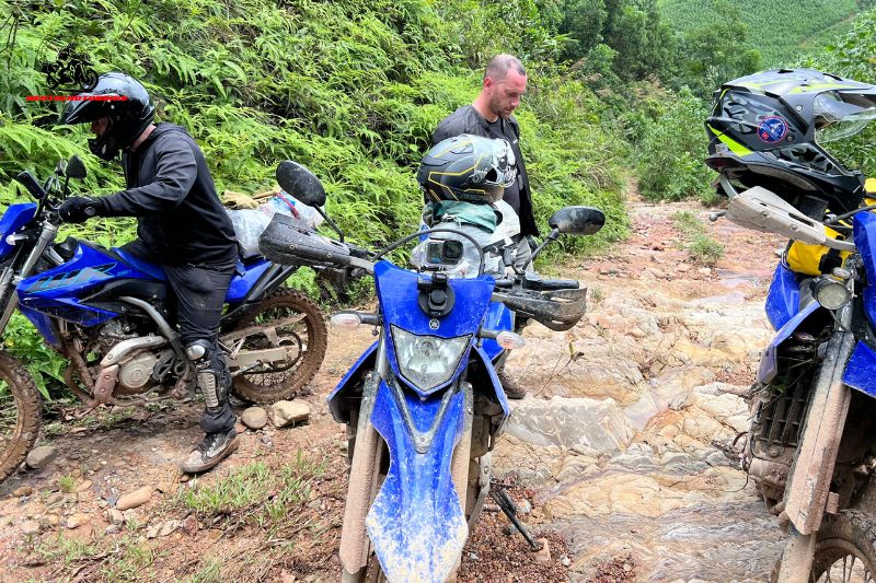 All vehicles at Rental Motorbike are regularly maintained