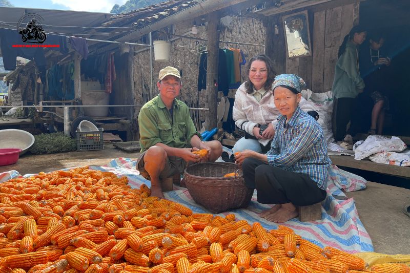 Tourists sitting with locals harvesting corn at village home