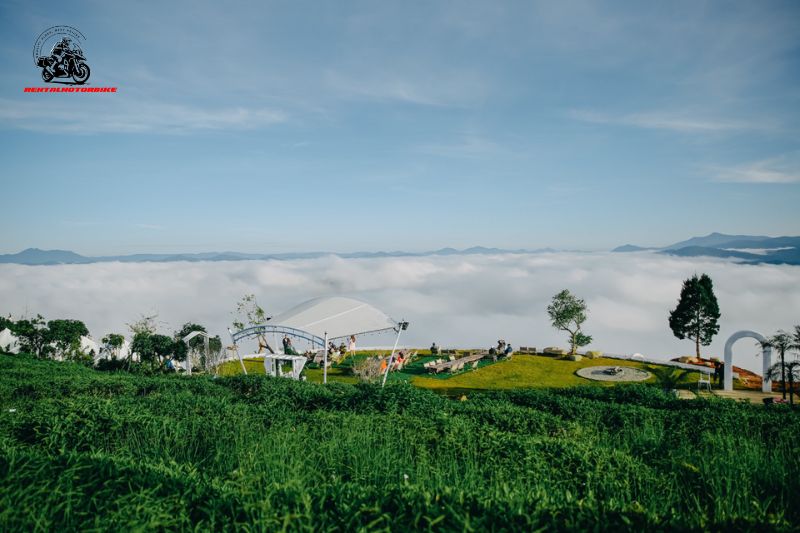 Cau Dat Tea Hill