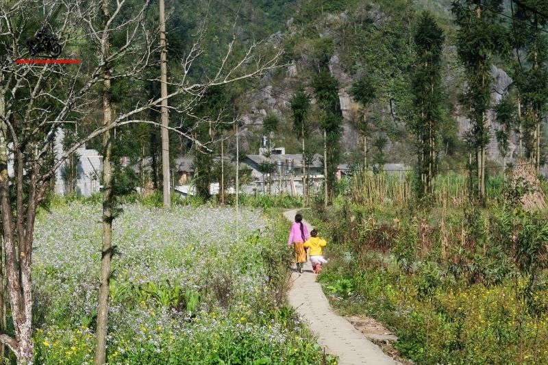 Ha Giang is the northernmost land of Vietnam