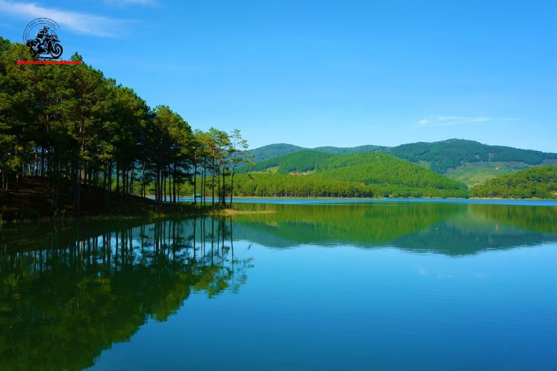 Clear blue sky reflecting on Tuyen Lam Lake surrounded by pine trees