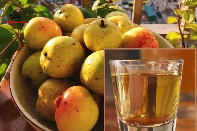 Táo mèo wine