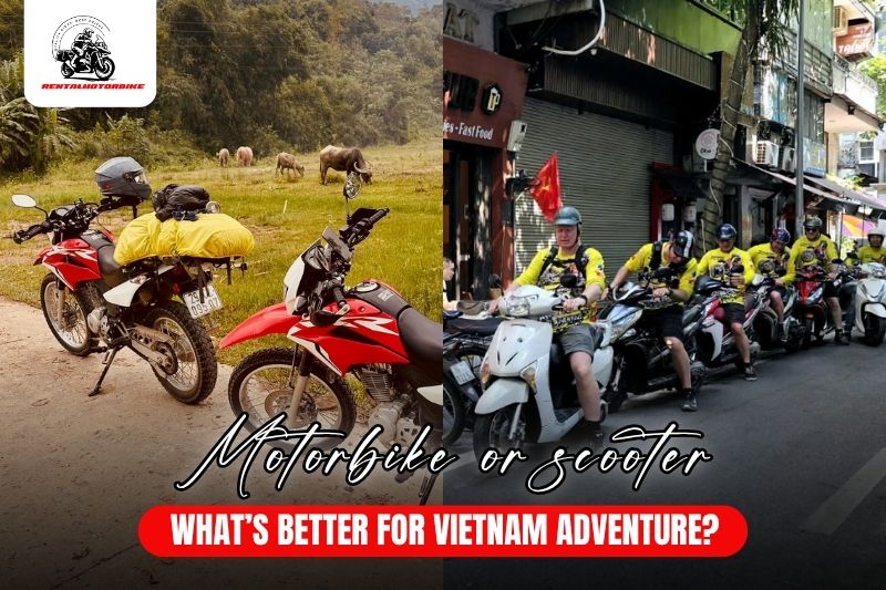 motorbike or scooter