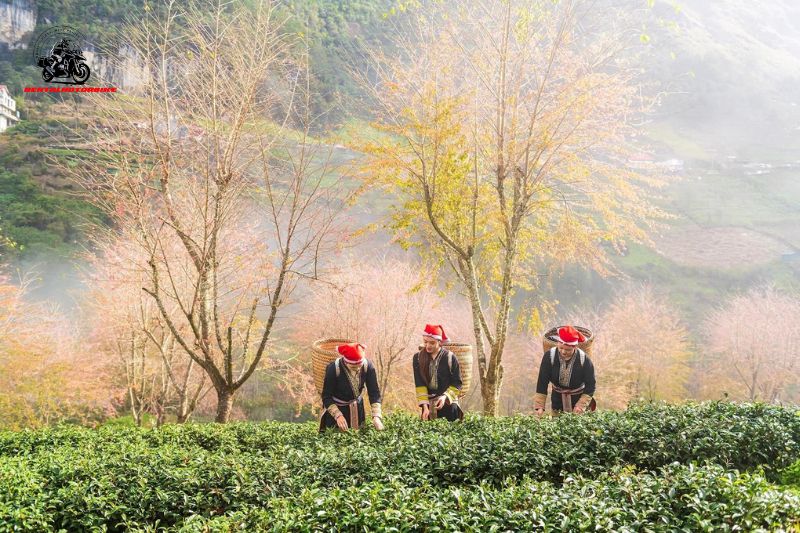 Ha Giang Loop