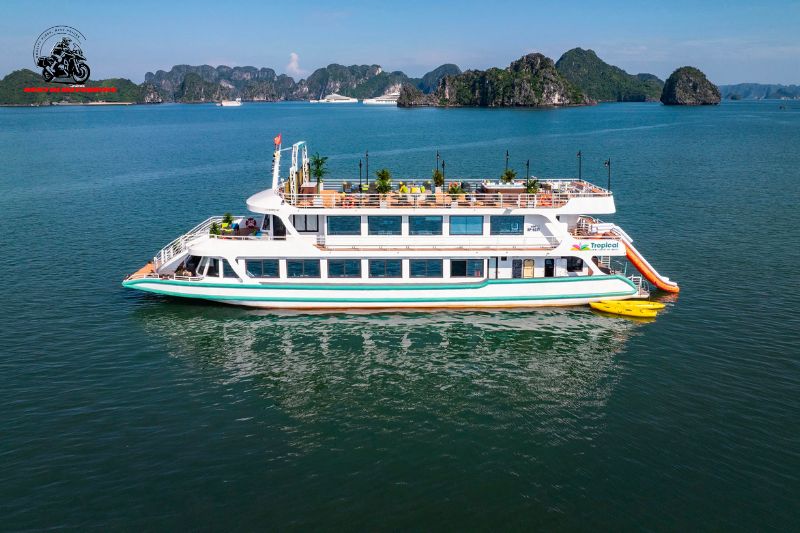 Premium 5-star cruise