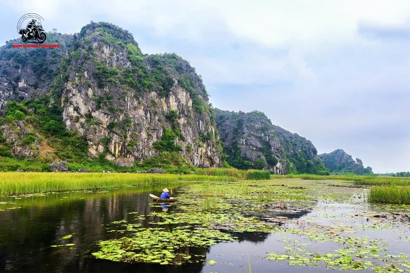 Van Long is the largest wetland reserve in the North