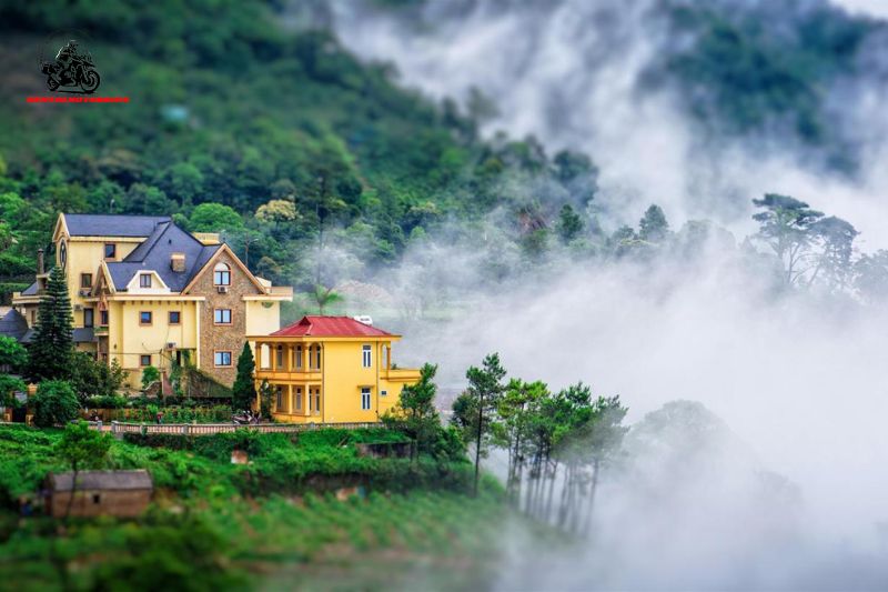 Feel the gentle breeze of spring in the morning