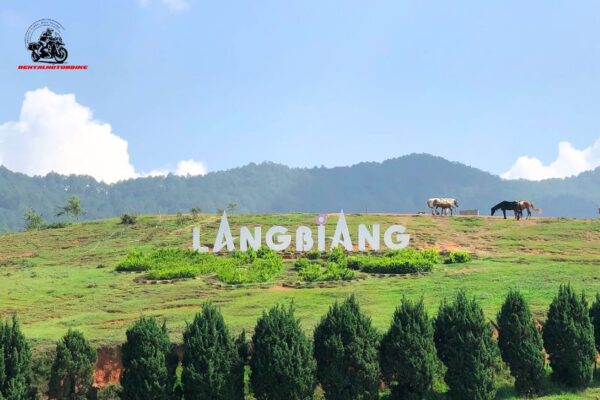 what to do in Da Lat